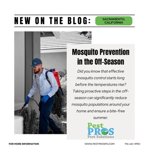 Mosquito Prevention in the Off-Season: What You Can Do Now to Enjoy a Bite-Free Summer in Rocklin, Roseville, Lincoln & Granite Bay